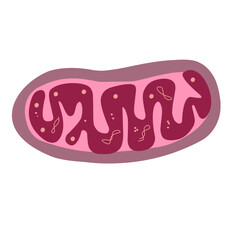 Mitochondria icon - obrazy, fototapety, plakaty
