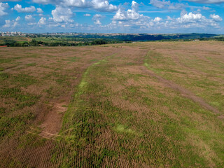 Aerial view of a mature soybean plantation, ready for harvest, but with many weeds of different types spread throughout the field,  in Brazil