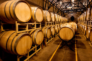 Rustic Wine Cellar with Glass Ceiling