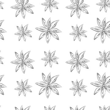 Seamless pattern of outline drawing of an anise star. Spicy spice for coffee or mulled wine. Isolate