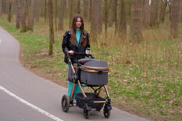 family, child and parenthood concept - happy mother with stroller in park