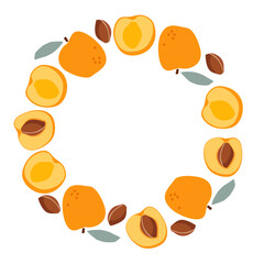 Apricot frame. Round fruit border. Apricot wreath isolated frame with copy space. Summer background For poster, banner, cover, invitation, packaging design, branding. Fruits round frame. Summer fruit.