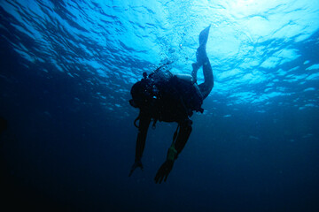 Scuba Divers, silhouettes against sunburst, in the ocean beside coral reef