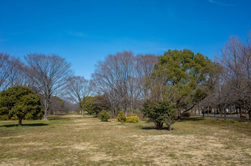 舎人公園