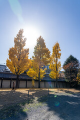 京都　東本願寺
