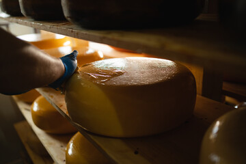 Close up of male worker coating cheese with wax in factory warehouse