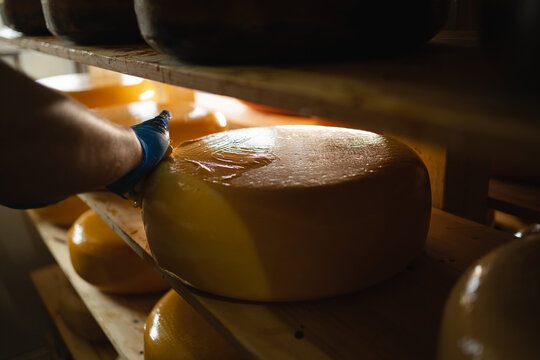 Cheesemaker Fat รูปภาพCheese-Maker – เลือกดูภาพถ่ายสต็อก เวกเตอร์ และวิดีโอ1,021 ...