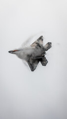 F-22 Raptor Air Show Demo Flyover