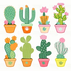 Raamstickers Cactus in pot Many colorful cactus on white background
