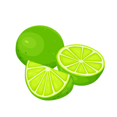 lime fruit and half lime fruit isolated on white background. Vector eps 10. Perfect for wallpaper or design elements.	