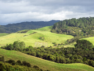 Hilly rural land with grass.