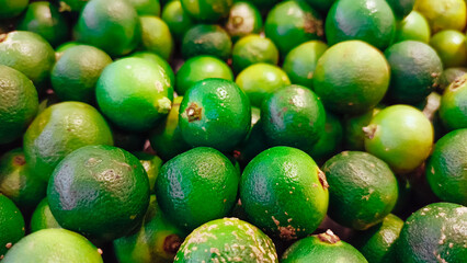 Fresh calamansi lime fruits