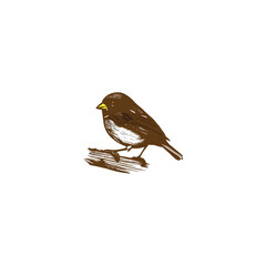 a cute brown sparrow on a white background vector silhouette outline art illustration