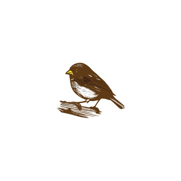 recommend clip art: a cute brown sparrow on a white background vector silhouette outline art illustration