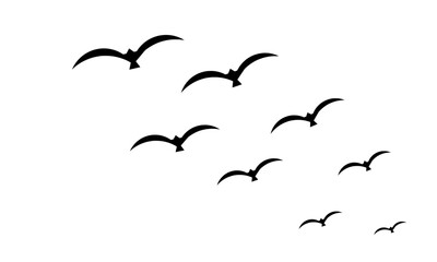 Group of black birds flying
