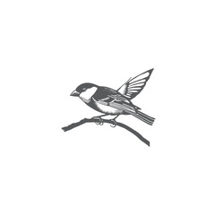 a beautiful wild bird silhouette line art drawing illustration
