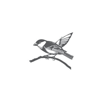recommend clip art: a beautiful wild bird silhouette line art drawing illustration