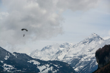 Naklejka na ściany i meble army paraglider close to landing in the swiss alps - in front of snow covered mountains