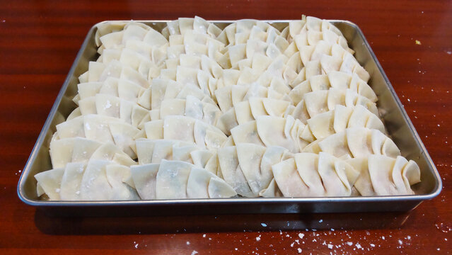 Gyoza (dumpling) - handmade, homemade / 手作り餃子（家庭の味）