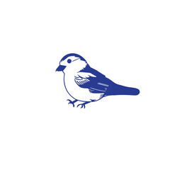 a beautiful blue bird vector artwork drawing illustration