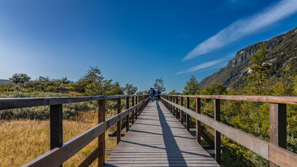 Fototapeta na wymiar A boardwalk with a railing runs through the territory of the Tierra del Fuego National Park. On the sides - a meadow with yellowed grass, trees. A mountain against a blue sky. Argentina