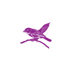  a beautiful coloring wild bird out line artwork drawing illustration