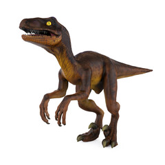 Velociraptor Dinosaurs Isolated