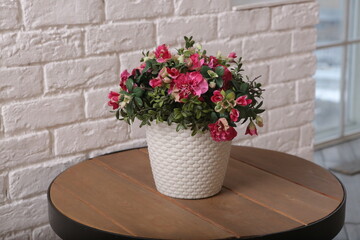 interior cosy detail with pot plant with pink flowers on white brick wall background close up photo