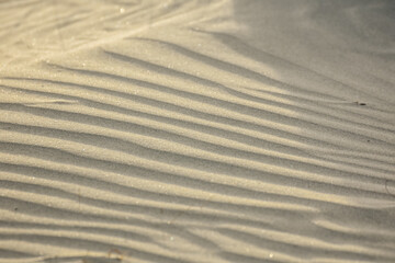 glittering sand with waves during the sundown on the beach in egypt