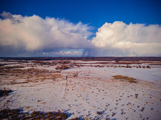 Fototapeta premium aerial photo of wildlife in spring
