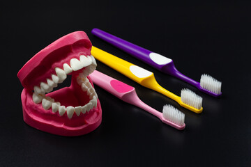 Toothbrushes and layout of the human jaw on the black background.