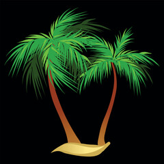 Two palm trees on a black background. Vector