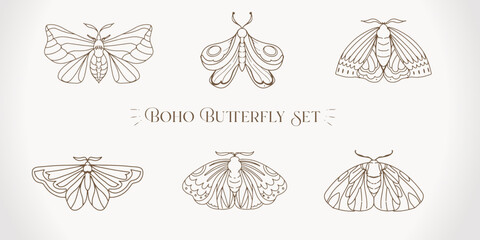 Moth Butterfly insect illustration set icon drawing element
