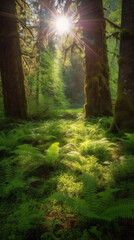 Obraz premium green forest in the morning
