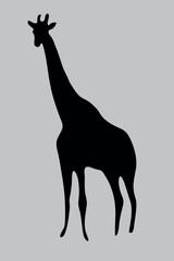 A giraffe icon on a gray background. Vector