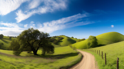 landscape with road, grass and sky