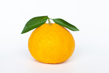 夏ミカン　葉付き