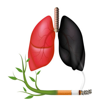 Dangers of smoking. Smoking effect on human lung. Stop smoking, World No Tobacco Day. Icon 3D file PNG