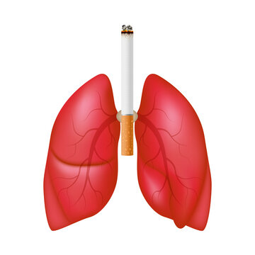 Dangers of smoking. Smoking effect on human lung. Stop smoking, World No Tobacco Day. Icon 3D file PNG
