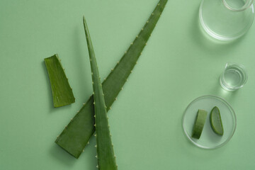 Erlenmeyer flask and beaker containing Aloe vera gel arranged with glass petri of Aloe vera slices....