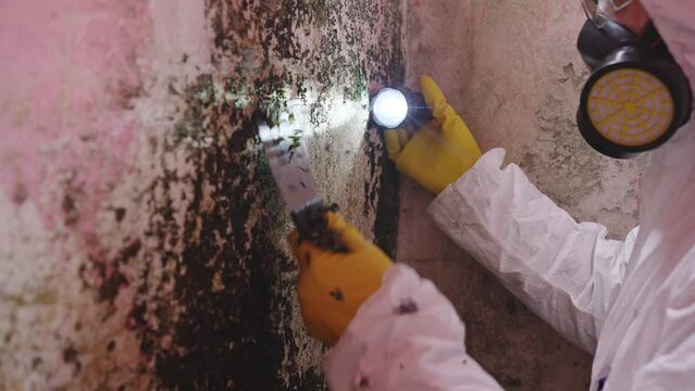 service exterminator in protective gear removal of dangerous mold from the wall,removal of plaster cleaning the basement of the house from fungus