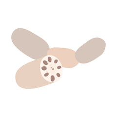 レンコン。フラットなベクターイラスト。
Lotus root. Flat designed vector illustration.