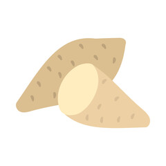ヤーコン。フラットなベクターイラスト。
Yacón. Flat designed vector illustration.