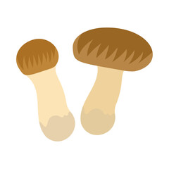 マツタケ。フラットなベクターイラスト。
Matsutake mushrooms. Flat designed vector illustration.