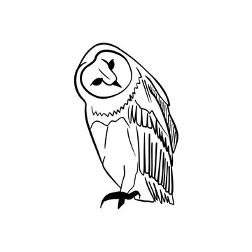 Vector sketch hand drawn silhouette of sitting owl with tilted head, doodle style