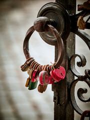 Locks hang on the gate for good luck