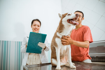 the siberian dog standing on metal table with it's owner holding it