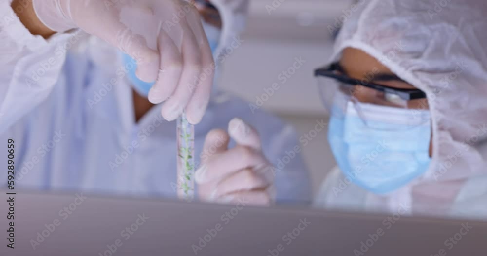 Poster scientist in laboratory, team and test tube with plant science study for gmo research and scientific