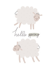hello spring. Cartoon sheep, hand drawing lettering. colorful spring vector illustration, flat style. design for print, greeting card, poster decoration, cover