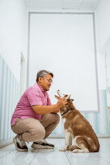 a male vet with purple outfit playing with brown siberian dog at pet clinic